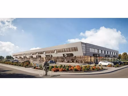 vente local d'activités sainte croix en plaine 3 937 m²