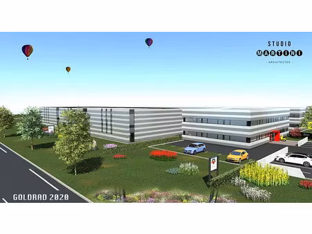 vente bureau sainte-croix-en-plaine 242 m²