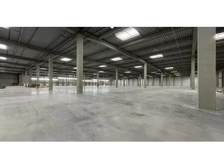 location entrepôt / local d'activités fontaine 12 593 m²