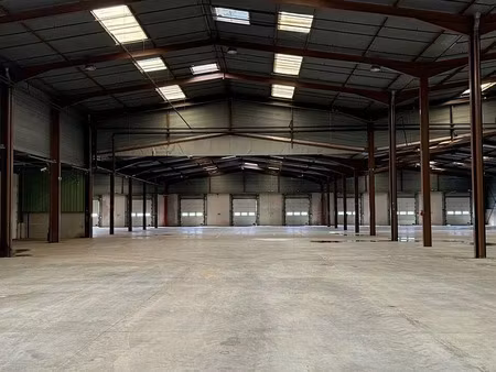 location entrepôt / local d'activités roppentzwiller 4 934 m²