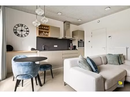 appartement te huur in antwerpen met 1 slaapkamer