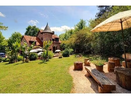 a collonges la rouge : moulin historique du 17° avec gîte indépendant - rentabilité & char