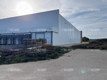 vente entrepôt logistique 14 243 m²