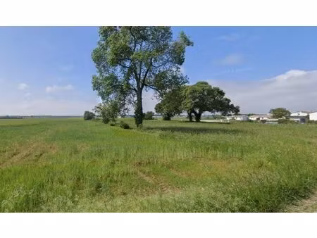 terrain à bâtir à saujon (17600)