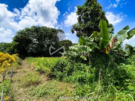 en vente terrain non constructible – 108 000 € |le lamentin