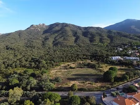 grand terrain 4 faces viabilisé prêt à construire