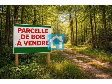 terrain champêtre/forestier à vendre