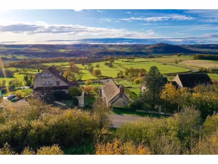 vente propriété 30 pièces 1179 m² à vézelay (89450)  990 000 €