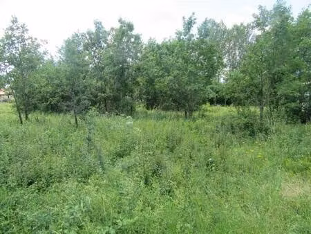 terrain constructible à vendre