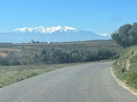 vente terrain 9900 m² baixas (66390)