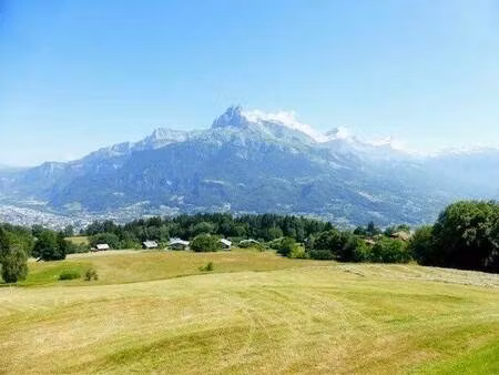 mont blanc immobilier