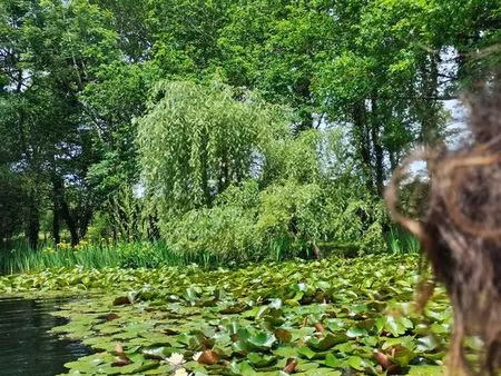 terrain naturel soustons