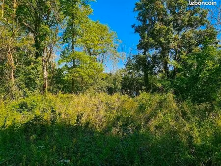 verger terrain boisé