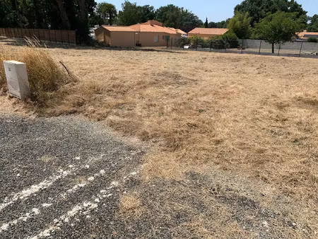 vente terrain à challans (85300) : à vendre / challans