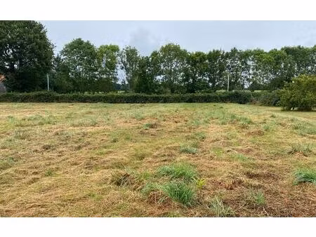 terrain séron m² t- à vendre  53 000 €