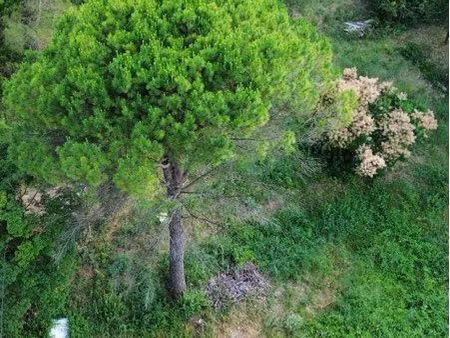 terrain 1323 m² – permis purgé – projet villa 213 m² + piscine