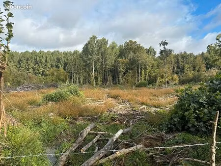 terrain 5333 m² prisces