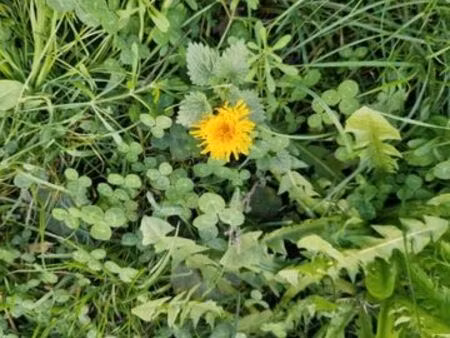 recherche un appartement