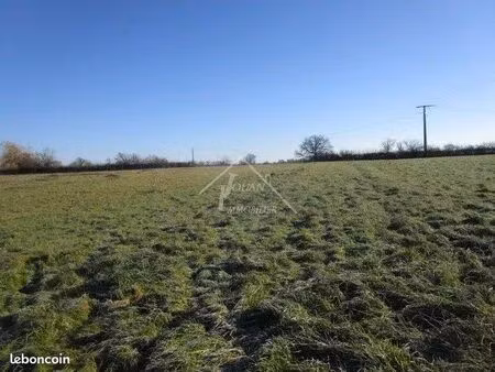 terrain 2500 m² varennes-sur-allier