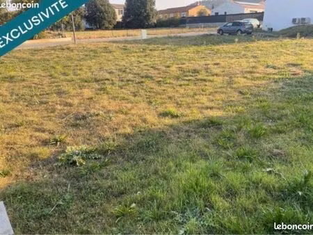 terrain constructible