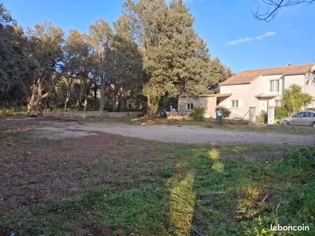 terrain constructible 587 m2 pietracorbara 1 km de la plage