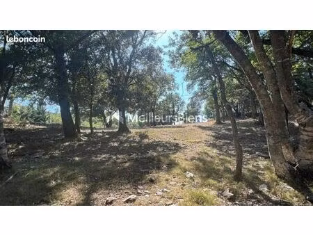 terrain 2 778 m² prunelli di fiumorbo