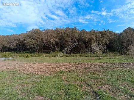 terrain 495 m² barchetta