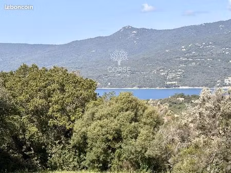 terrain 1 000 m² propriano