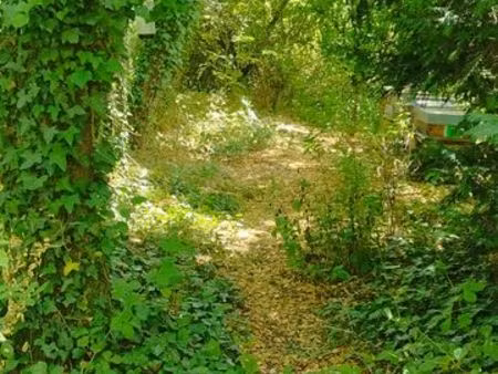 terrain de loisir entièrement arboré au bord du canal  avec cabanon