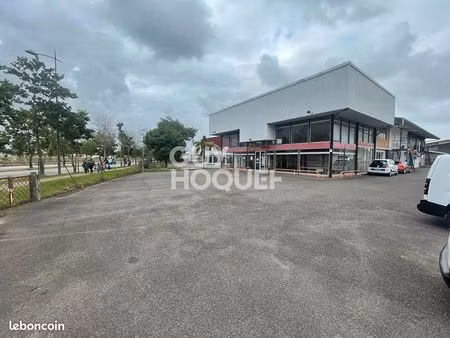local commercial 420 m² cayenne