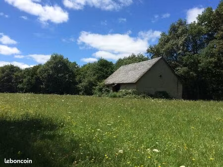 terrain avec grange et forêt 22 060m2