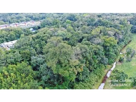 terrain 15 000 m² saint laurent du maroni