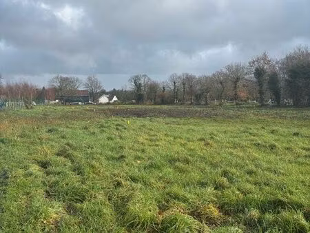 terrain constructible