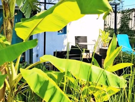 appartement 55m²  terrasse 25m². edf  eau  internet compris