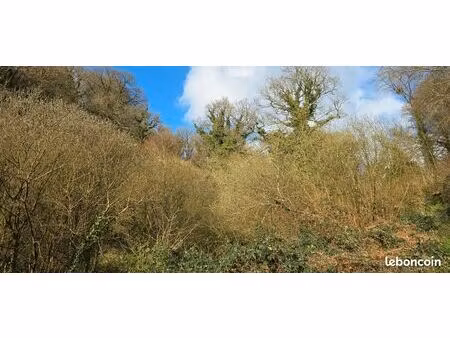 parcelles boisees et friche