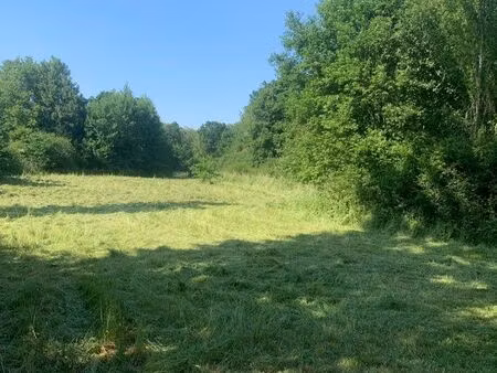 terrain de loisirs 11290 m2 en bord de saône