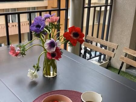 t2 standing 50 m² + balcon & jardin copro – plateau croix-rousse centre – 1 150 cc