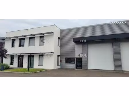 local d'activité 491 m²