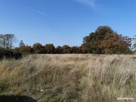 terrain 7350 m² - notre dame du parc