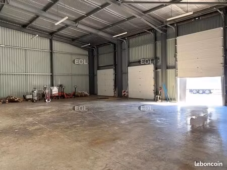 local d'activité 500 m²