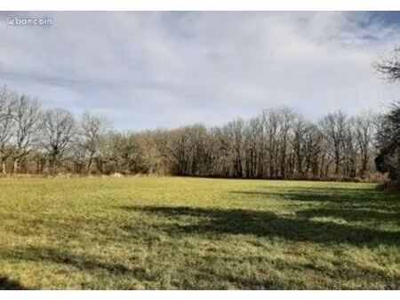 terrain 450 m² monteux