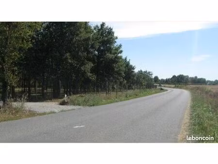 terrain de loisir boisé 8 360 m² | verruyes (79310)