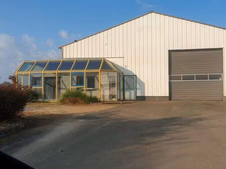 local d'activité 600 m2