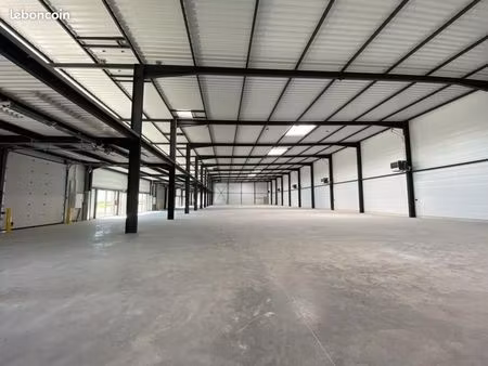 local d'activité 779 m²