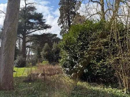 terrain constructible 570 m² – cadre exceptionnel