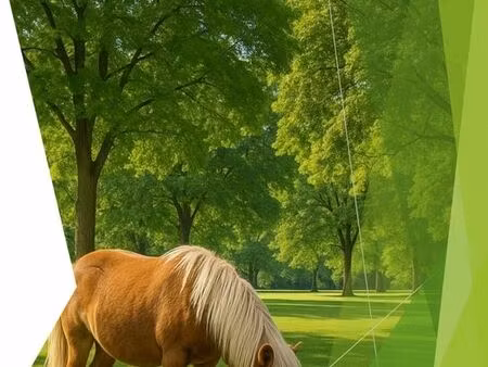 recherche pré  prairie  terrain agricole  ferme