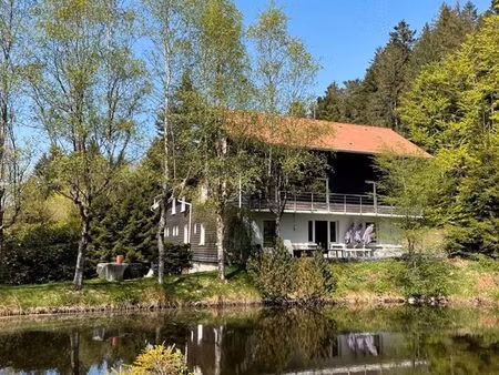 propriété à 5 mn de gérardmer pour investir