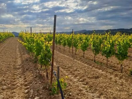 terrain 250 m² pertuis