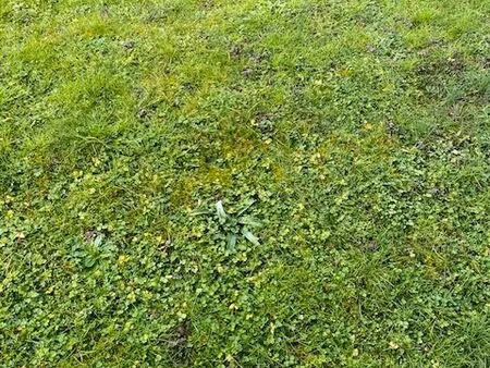 vends terrain constructible