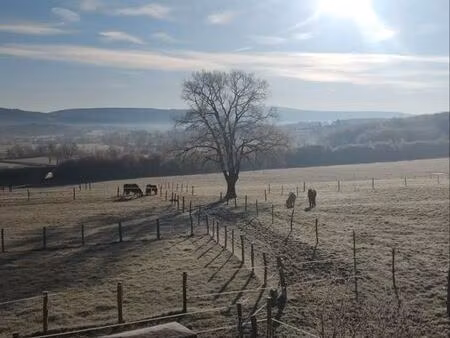 cherche terrain agricole